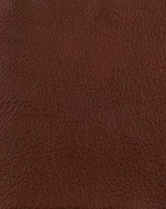 leather sample